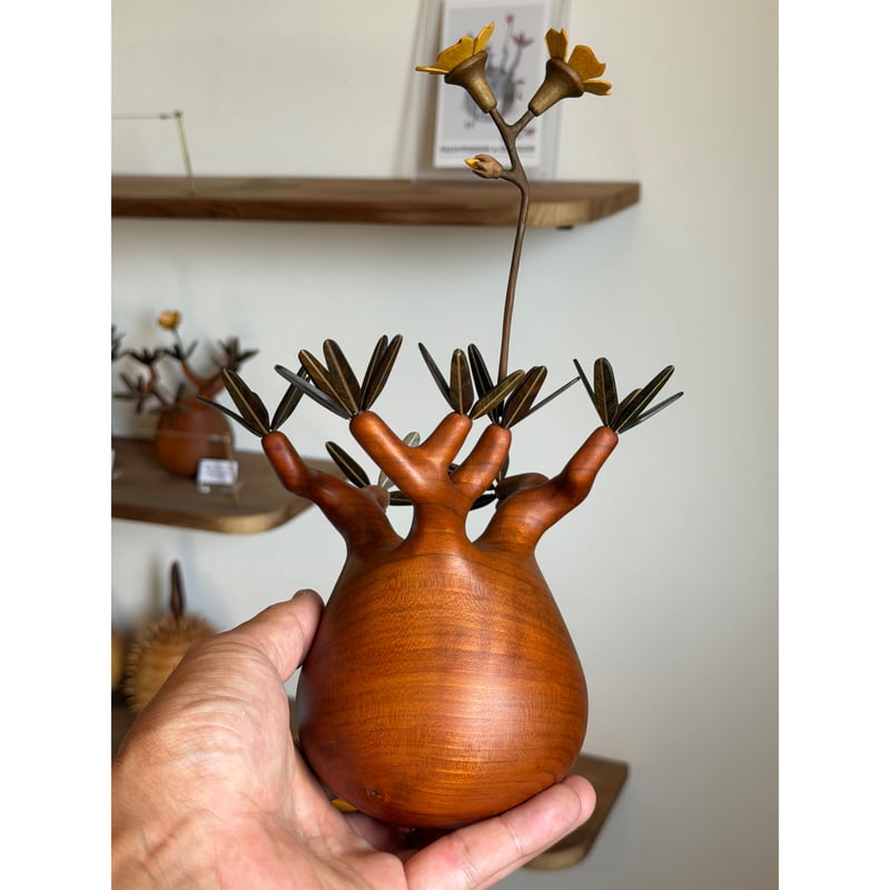 パキポディウム Pachypodium 大 | MOCMOC wooden craft