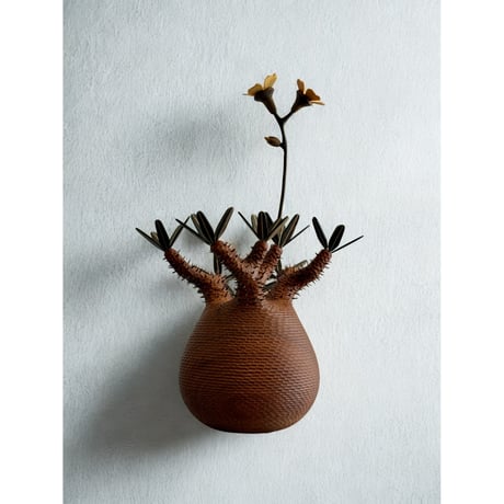 N*I様 落札キャンセルによる再出品 MOCMOC グラキリス　木製　枯れないグ MOCMOC wooden craft