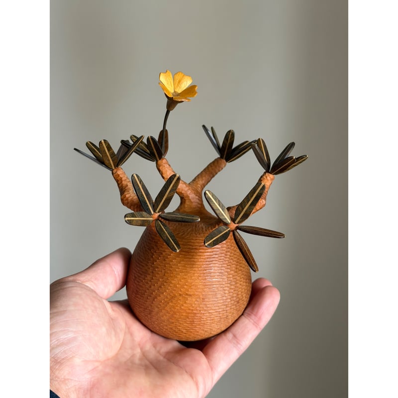 パキポディウム Pachypodium 彫り | MOCMOC wooden craft