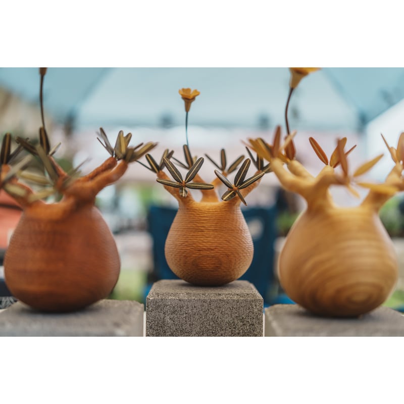 パキポディウム Pachypodium 彫り | MOCMOC wooden craft