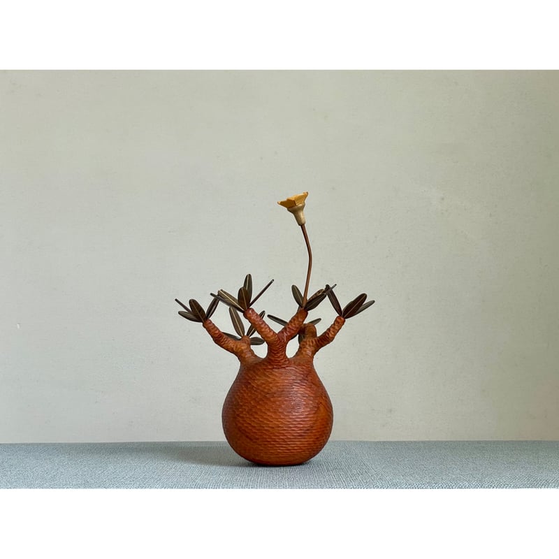 sizeS 彫り】パキポディウム Pachypodium | MOCMOC wooden