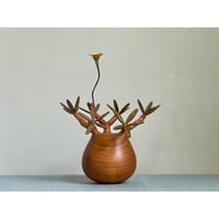 MOCMOC パキポディウム グラキリス　木製　※お値下げ可（ご相談にて） パキポディウム グラキリス-PG241 | Supervoid Caudex