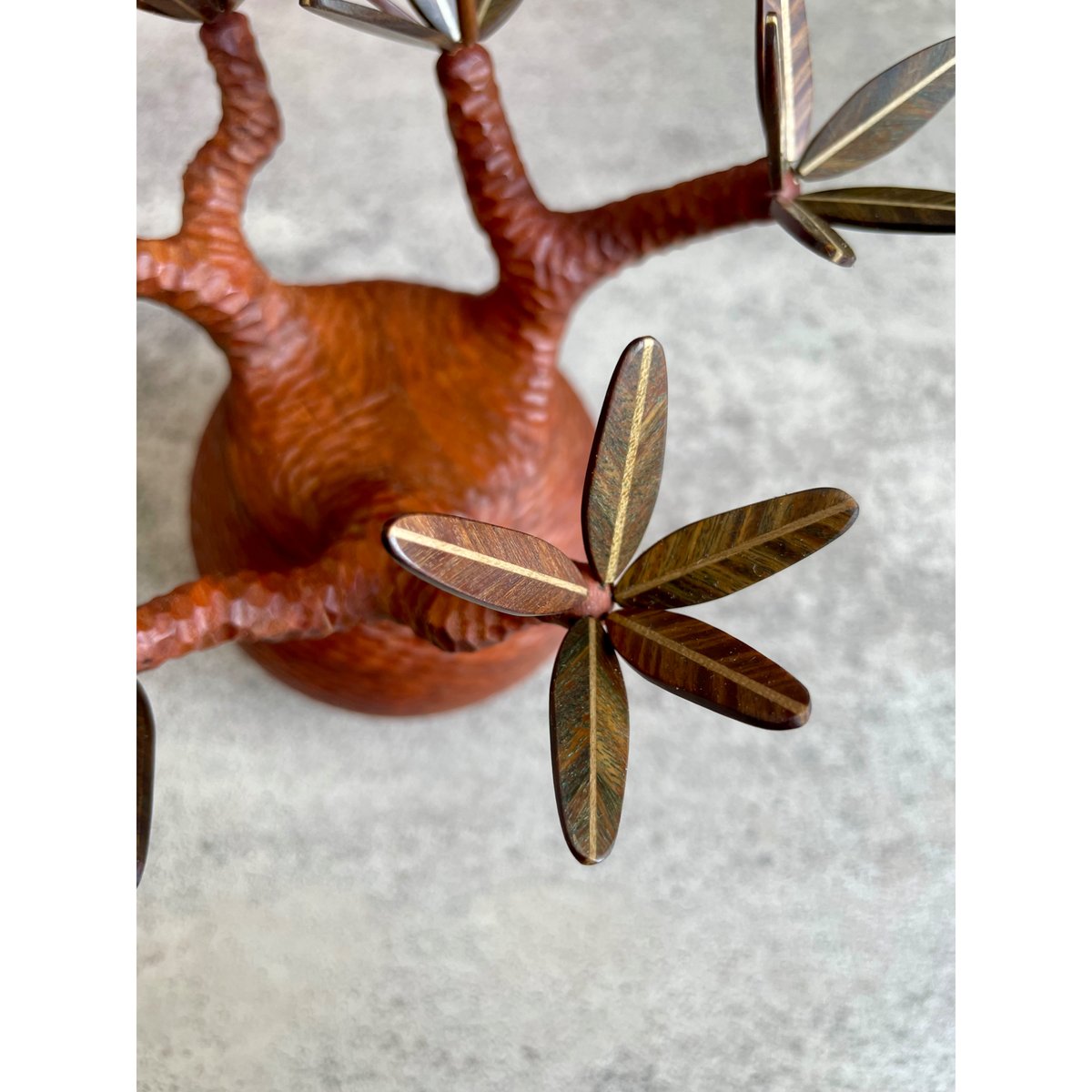 sizeS 彫り】パキポディウム Pachypodium | MOCMOC wooden