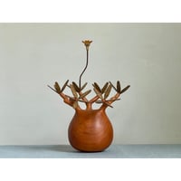 sizeS 彫り】パキポディウム Pachypodium | MOCMOC wooden