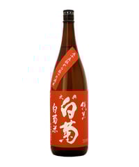 【未開封】白菊と黄菊ですが、それが何か Kyoto National Museum KNM Collection Database