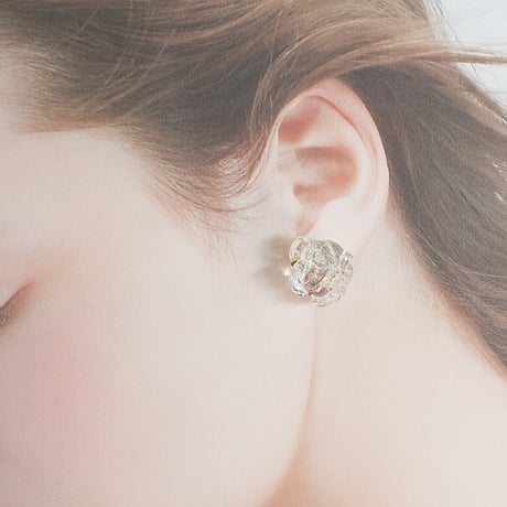 Jewelryジュエリー②/ピアス大クリア