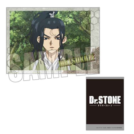 コレクションカード Dr.STONE