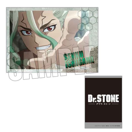 コレクションカード Dr.STONE
