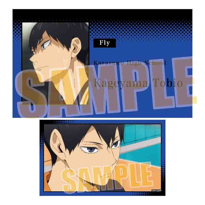 メモリーズカードコレクション Part2 ハイキュー!! | ベルハウス