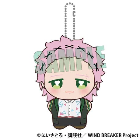 ぽにすてっぷ WIND BREAKER/桐生 三輝