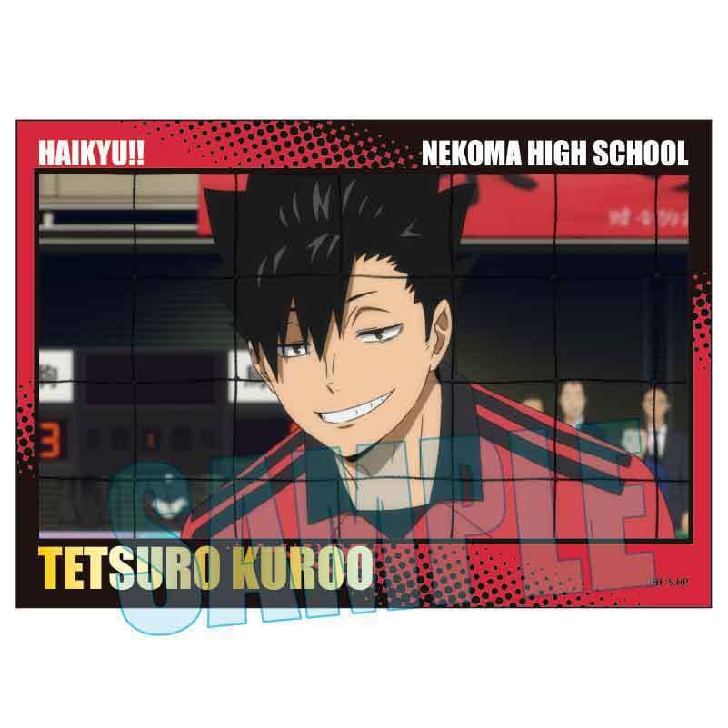 ハイキュー！！ ピクチャーズコレクション 31枚 フォト カード Amazon.co.jp: ハイキュー ヒーローズフォトブック 日向