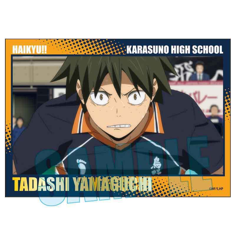 トレーディングメモリーズ箔押しフォトカード ハイキュー