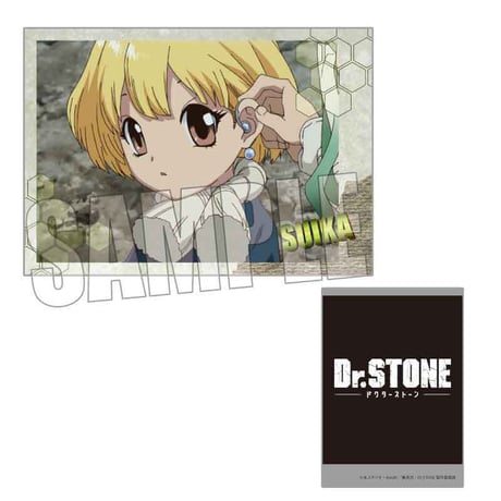 コレクションカード Dr.STONE