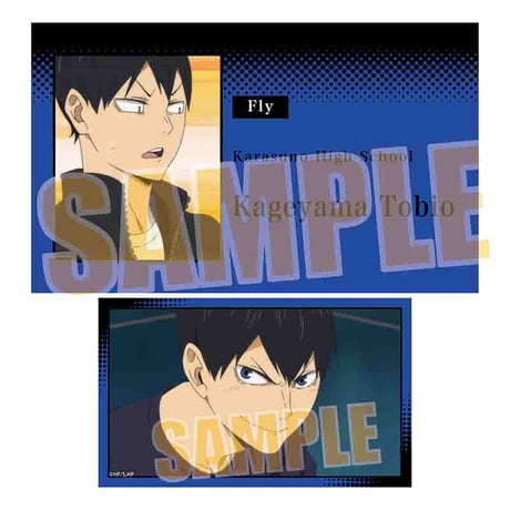 メモリーズカードコレクション Part2 ハイキュー!!