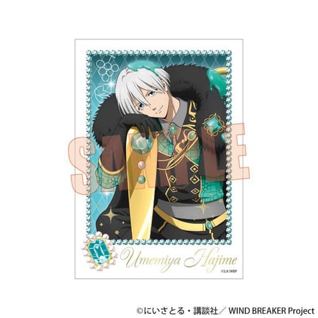 トレーディング箔押しブロマイド WIND BREAKER/ドルチェ