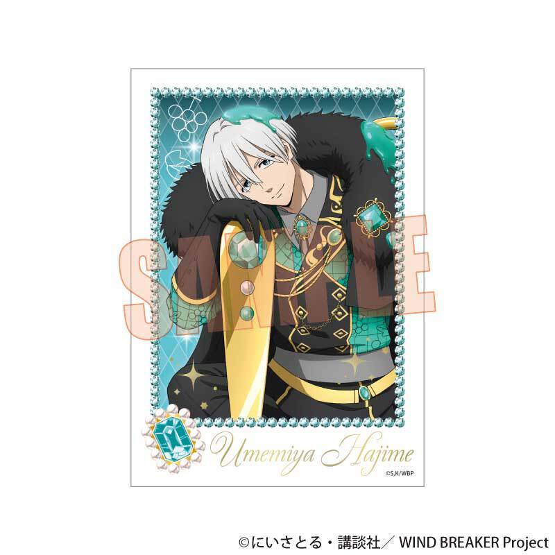 トレーディング箔押しブロマイド WIND BREAKER/ドルチェ | ベルハウス