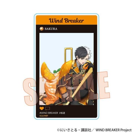 トレーディングアクリルカード WIND BREAKER/ドルチェ