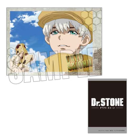 コレクションカード Dr.STONE