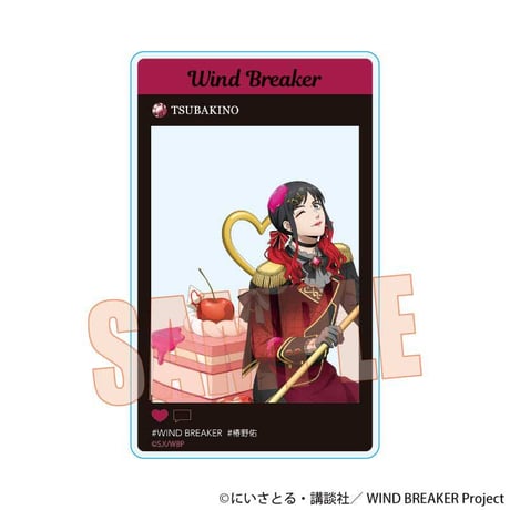 トレーディングアクリルカード WIND BREAKER/ドルチェ