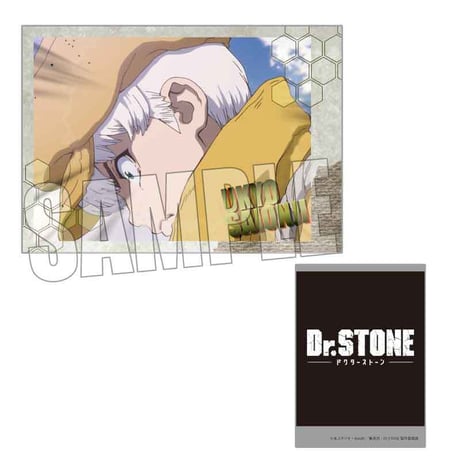 コレクションカード Dr.STONE