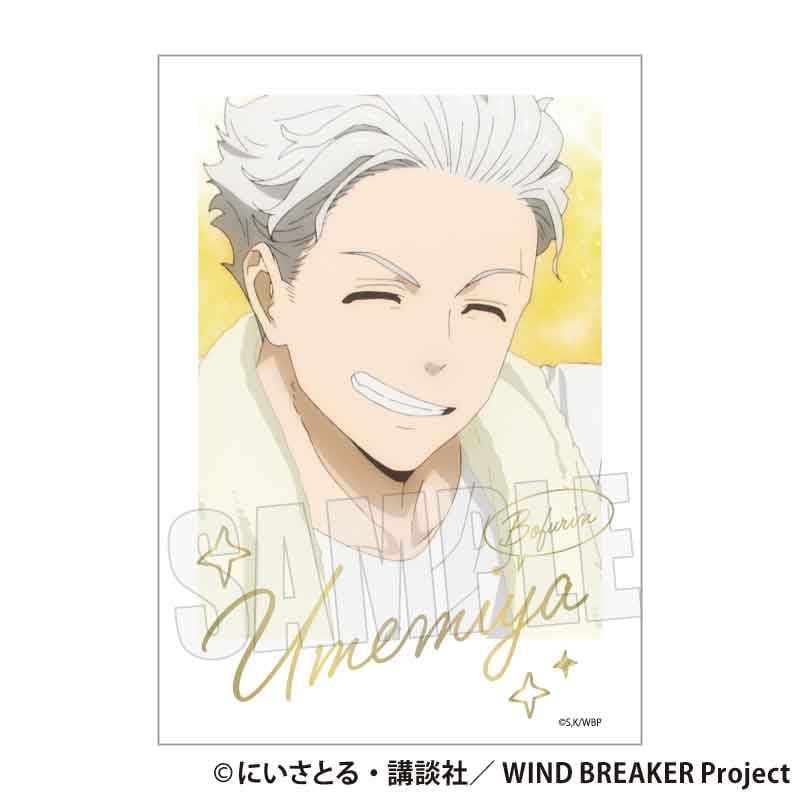 トレーディング箔押しブロマイド WIND BREAKER | ベルハウスショップ