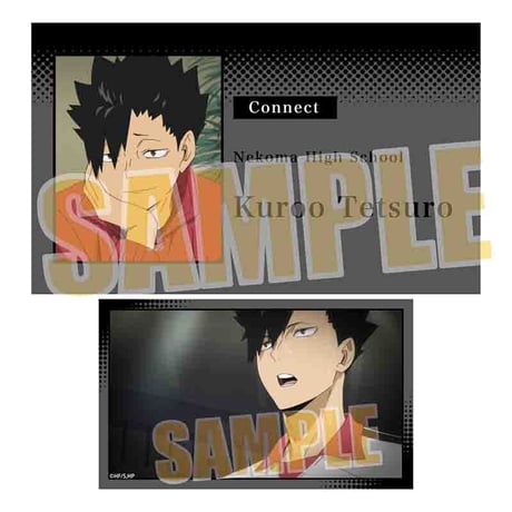 メモリーズカードコレクション Part2 ハイキュー!!