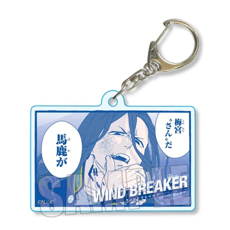 トレーディングメモリーズキーホルダー WIND BREAKER