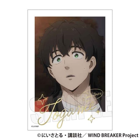 トレーディング箔押しブロマイド WIND BREAKER