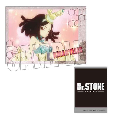 コレクションカード Dr.STONE