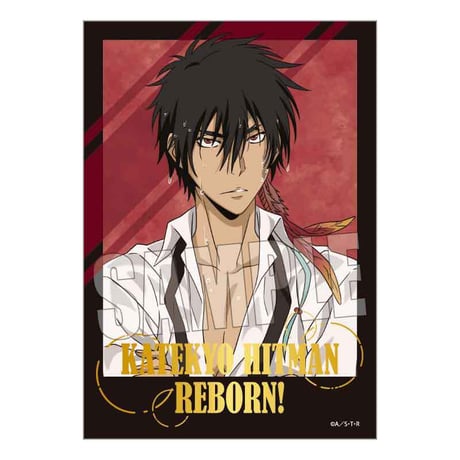 トレーディング箔押しブロマイド 家庭教師ヒットマンREBORN!