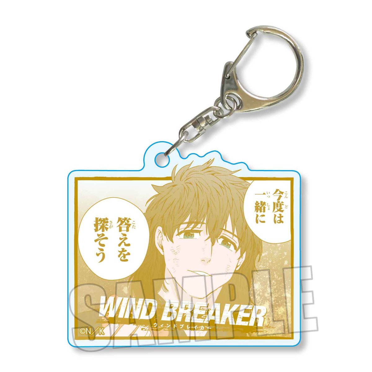 WIND BREAKER トレーディングメモリーズキーホルダー　BOX WIND BREAKER トレーディングメモリーズキーホルダー BOX
