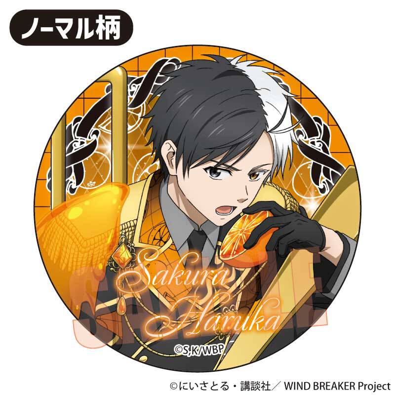 トレーディング缶バッジ WIND BREAKER/ドルチェ | ベルハウスショップ