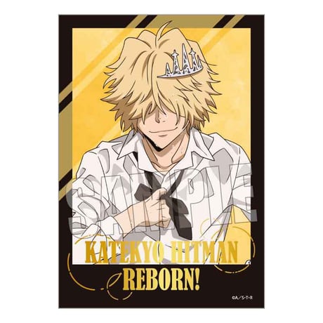 トレーディング箔押しブロマイド 家庭教師ヒットマンREBORN!