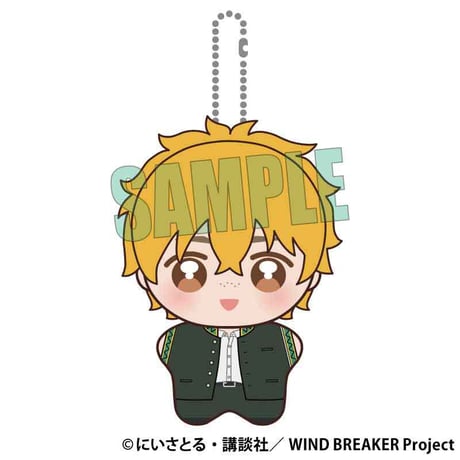 ぽにすてっぷ WIND BREAKER/楡井 秋彦