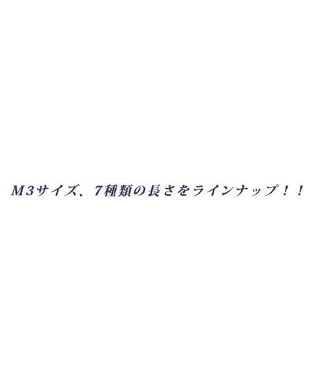 【THB-10BK】黒色ホーロービス M3×10mm