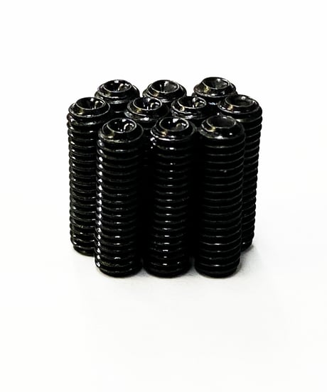 【THB-10BK】黒色ホーロービス M3×10mm