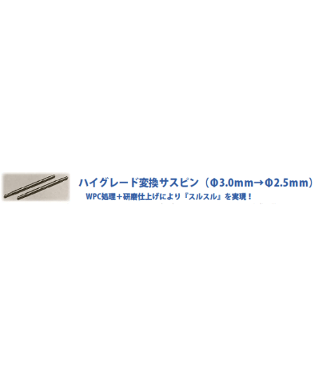 【IP-010】ハイグレード変換サスピン