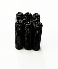 【THB-12BK】黒色ホーロービス M3×12mm
