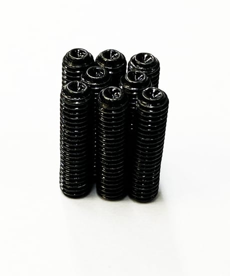 【THB-12BK】黒色ホーロービス M3×12mm