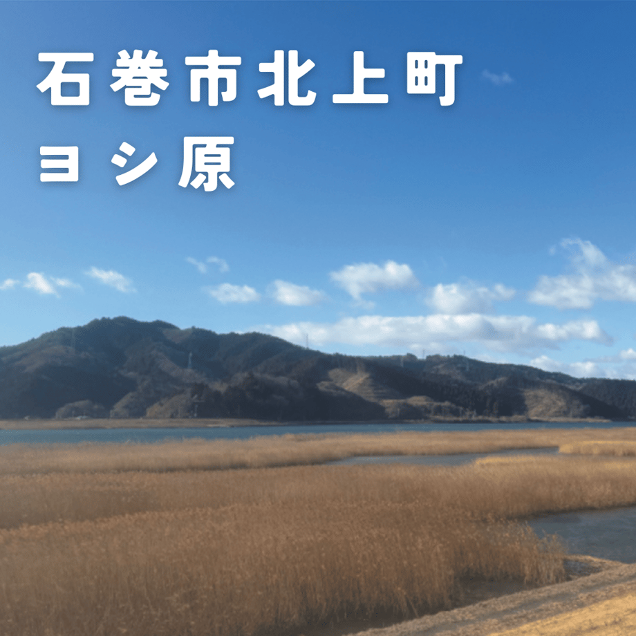 67c52a0299fec200cf253077