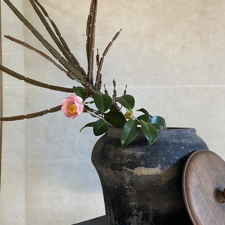 灰壺(Japan)