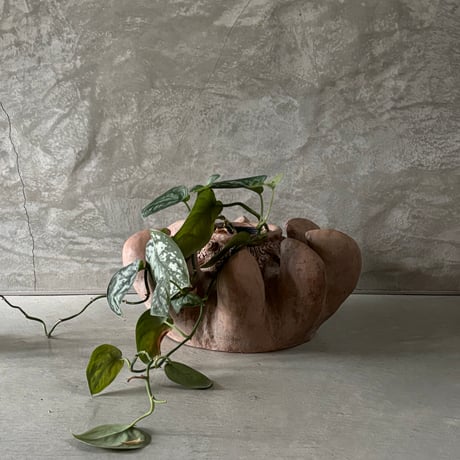 terracotta vase