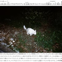 写真と日記と短歌の壁新聞/KKPK通信 2020年10月26日号 Vol.79