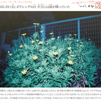 壁新聞/KKPK通信 2020年5月19日号 Vol.44