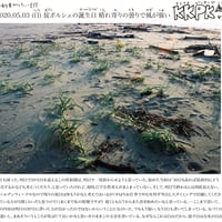 壁新聞/KKPK通信 2020年5月3日号 Vol.29