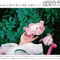 壁新聞/KKPK通信 2020年4月28日号 Vol.24