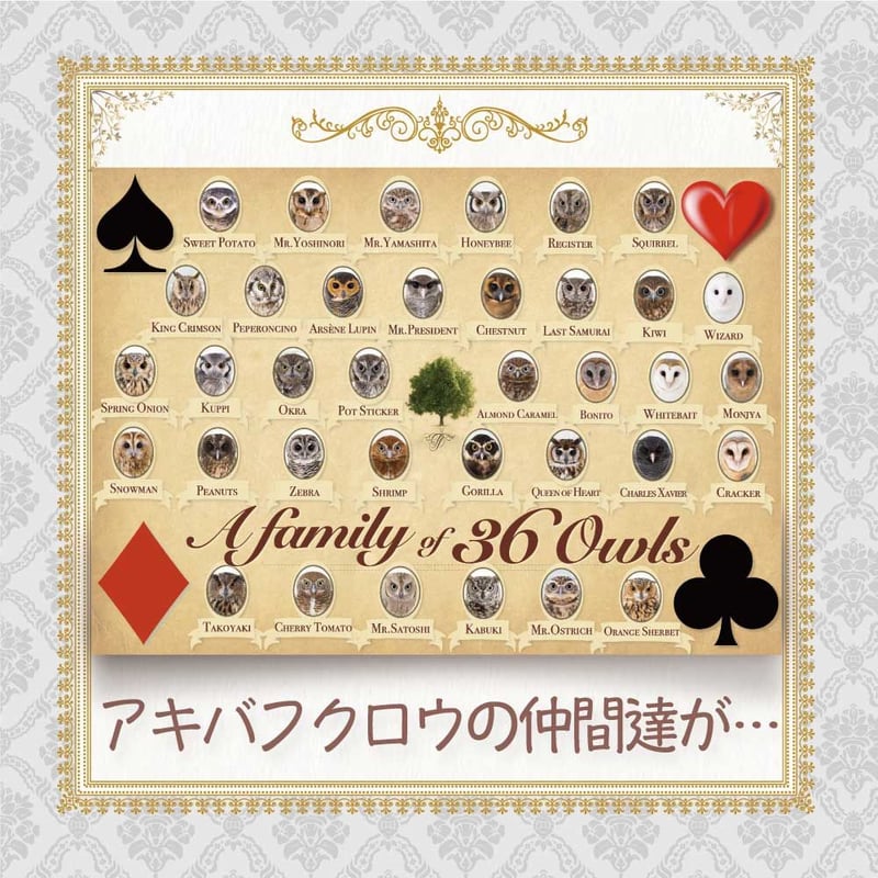 クリアファイル] トランプ遊び | AKIBA FUKUROU ONLINE SHOP