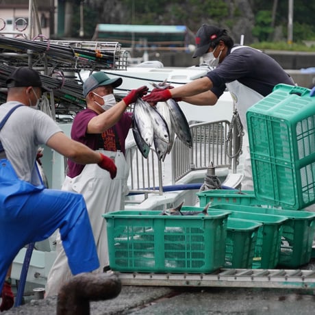 元気鰹の炙りカツオのたたき６本入り