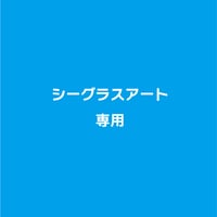 【黒澤様専用】シーグラスアート