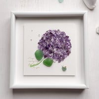 紫陽花
